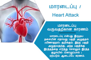 vaishnavi clinical lab heart