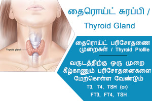 vaishnavi clinical lab thyroid